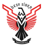 Logo Desa Siber Indonesia